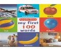 My first 100 Words